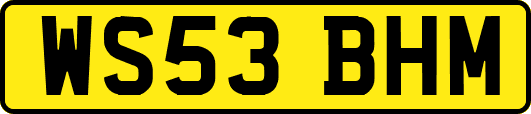 WS53BHM