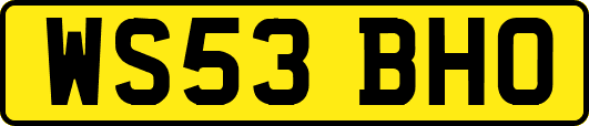 WS53BHO