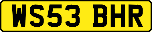 WS53BHR
