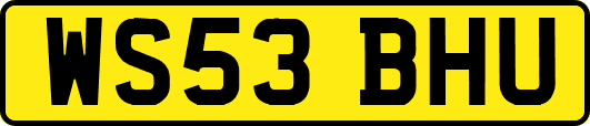 WS53BHU