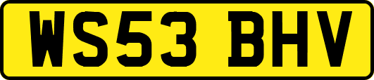 WS53BHV