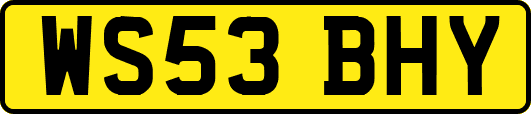 WS53BHY