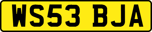 WS53BJA