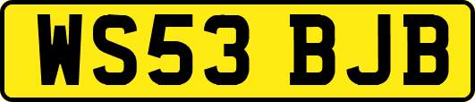 WS53BJB