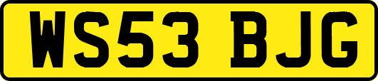 WS53BJG