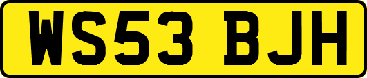 WS53BJH