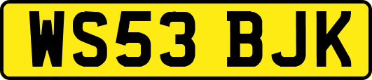 WS53BJK