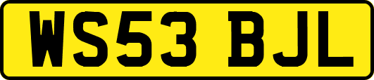 WS53BJL