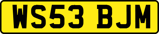 WS53BJM