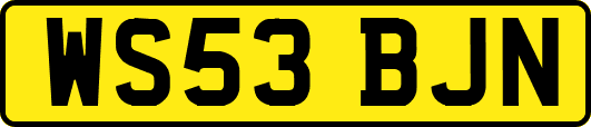 WS53BJN