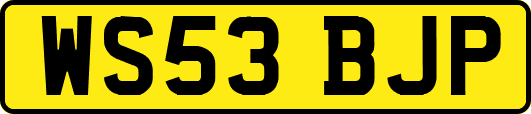 WS53BJP