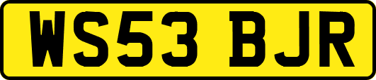 WS53BJR