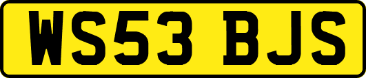 WS53BJS