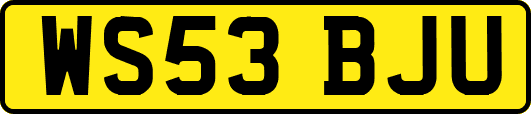 WS53BJU