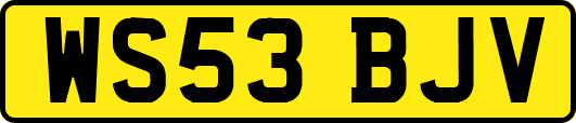 WS53BJV