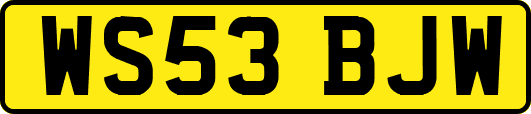 WS53BJW