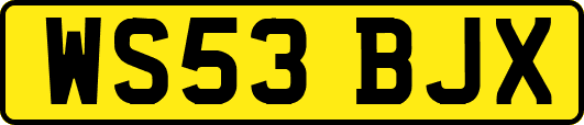 WS53BJX
