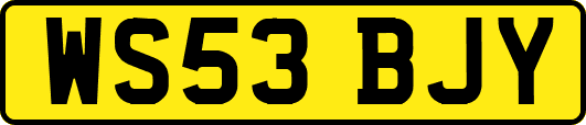 WS53BJY