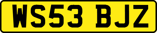 WS53BJZ