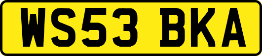 WS53BKA