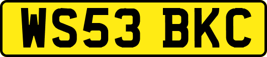 WS53BKC