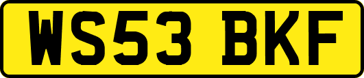WS53BKF