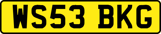 WS53BKG