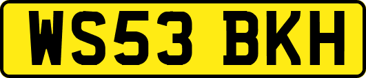 WS53BKH