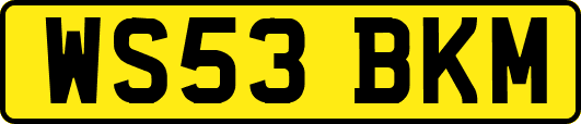 WS53BKM