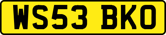 WS53BKO