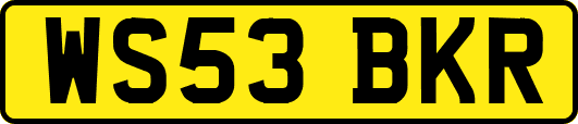WS53BKR