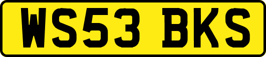 WS53BKS