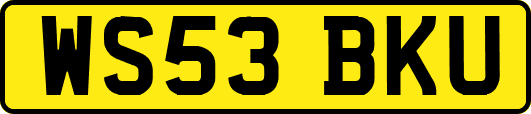 WS53BKU