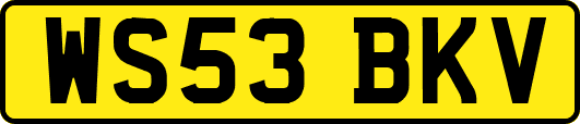 WS53BKV
