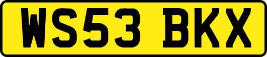 WS53BKX