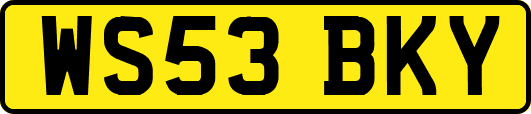 WS53BKY