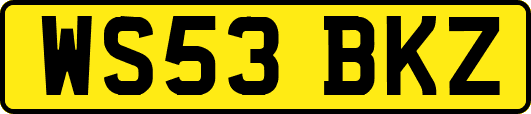 WS53BKZ