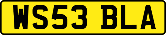 WS53BLA