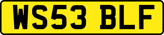 WS53BLF