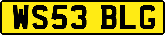 WS53BLG