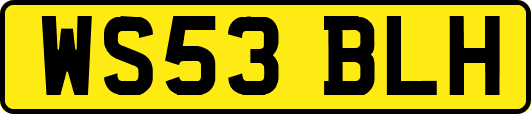 WS53BLH