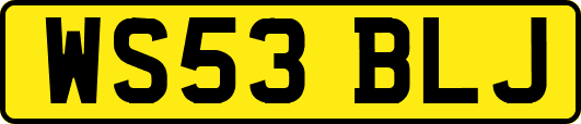 WS53BLJ