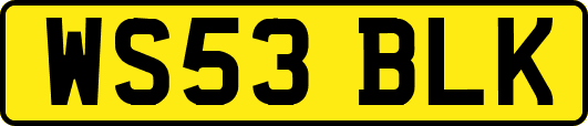 WS53BLK
