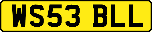 WS53BLL