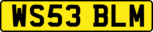 WS53BLM
