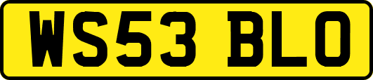 WS53BLO