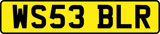WS53BLR