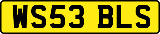 WS53BLS