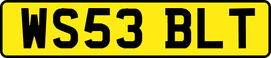 WS53BLT