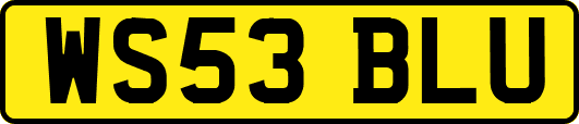 WS53BLU